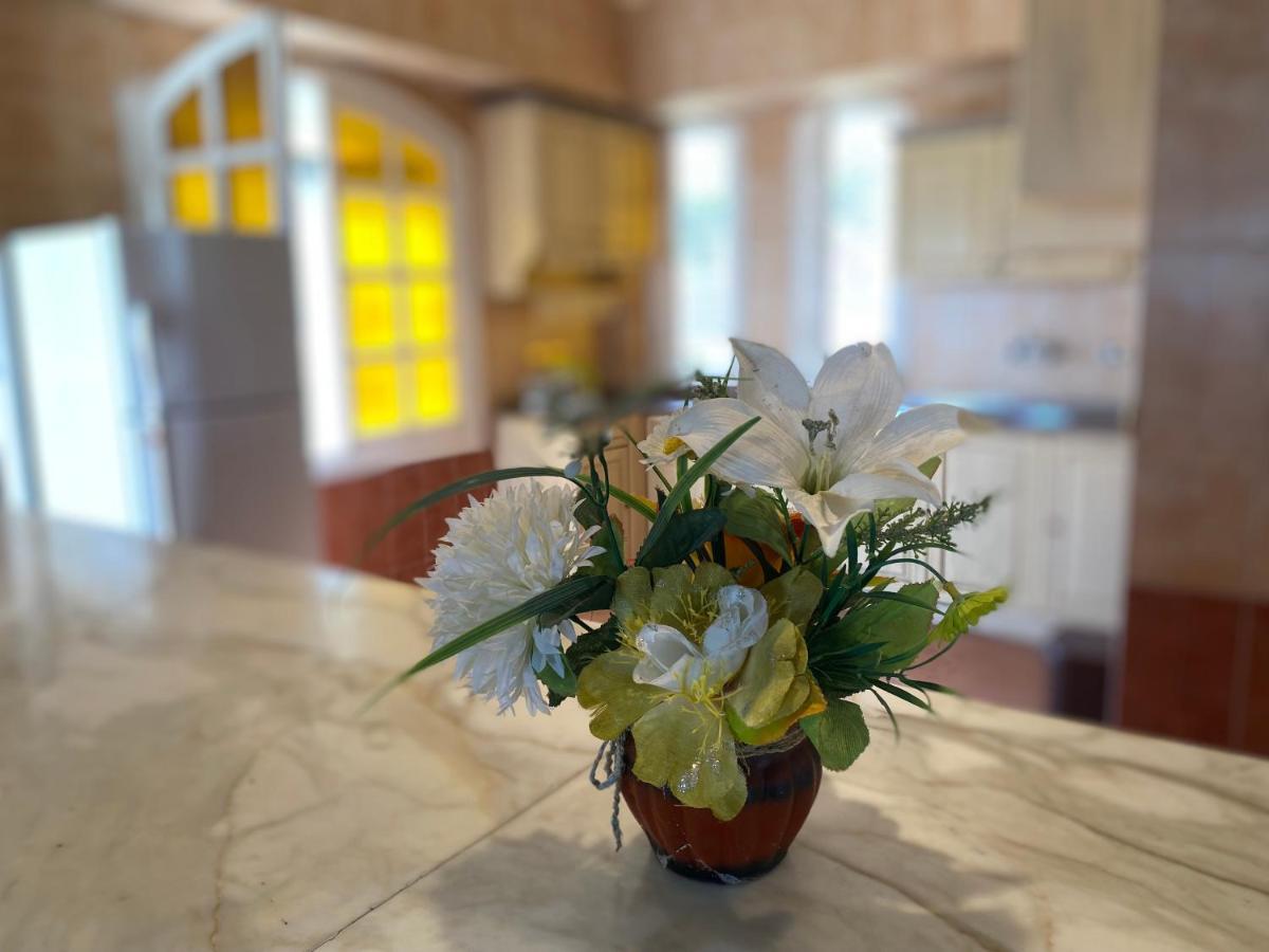 Tolip Inn Resort Fāʼid מראה חיצוני תמונה